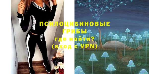 первитин Лабытнанги