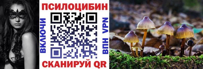 Галлюциногенные грибы Psilocybine cubensis  купить   Чебоксары 