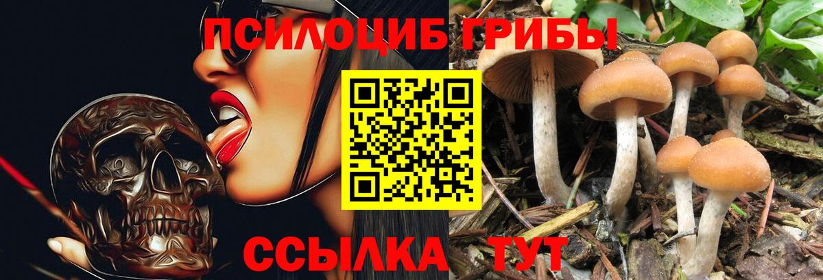 LSD-25  Мефедрон  Гарик  Вход с VPN  Продажа наркотиков  Конопля  Круглые  КОКАИН  Чебоксары  МДМА 
