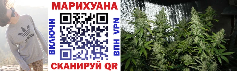 где купить наркотик  Чебоксары  гидра как войти  Каннабис Amnesia 